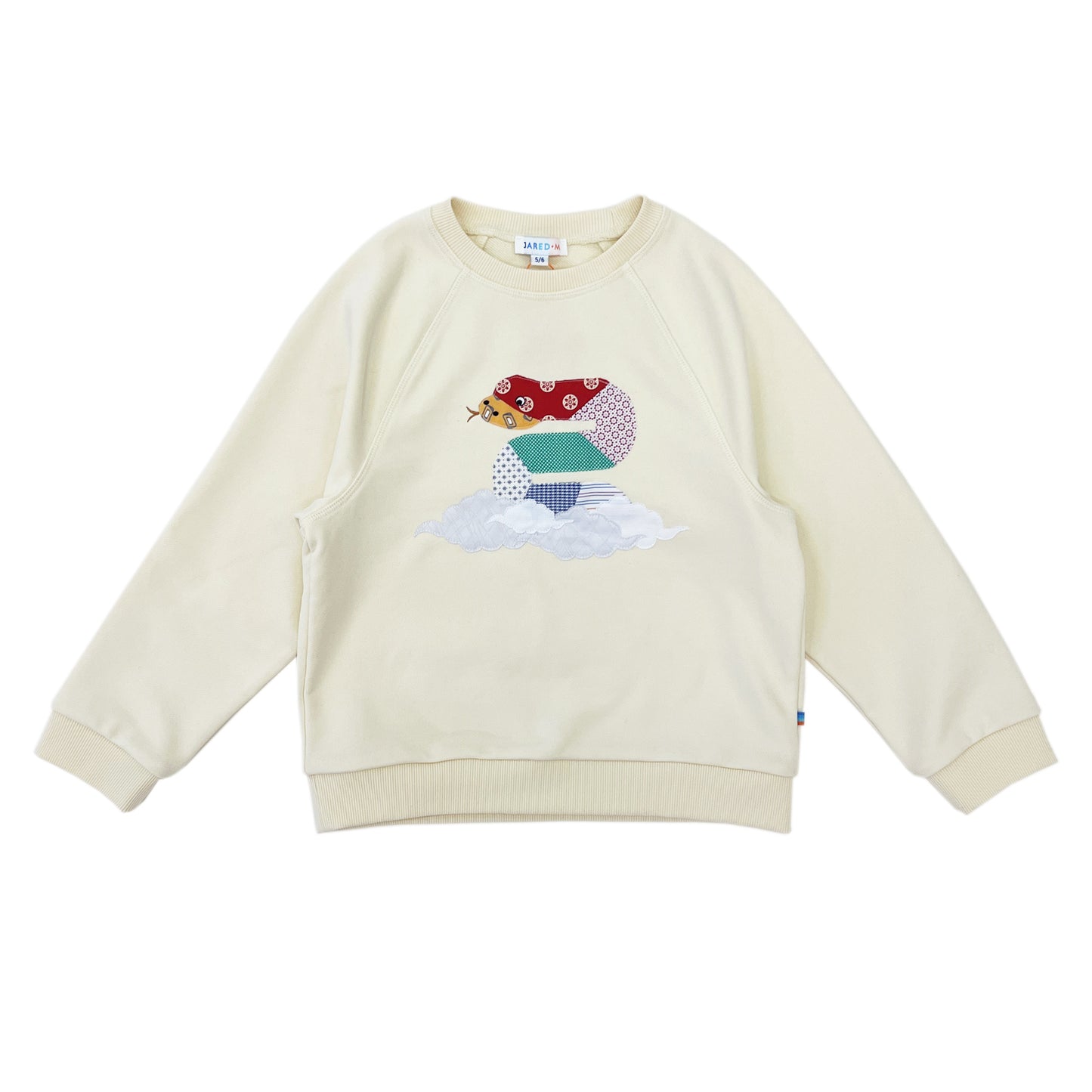Boy's Snake Patchwork Raglan Sleeve pullover