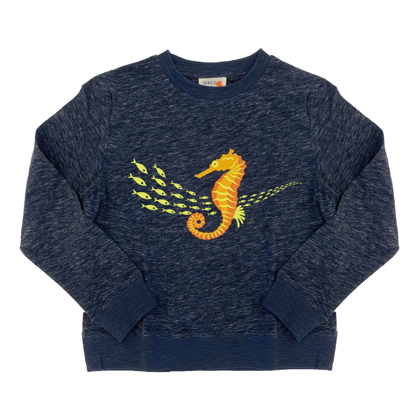 Boy's FW LS Knit Crew Neck with Seahorse Print Tee