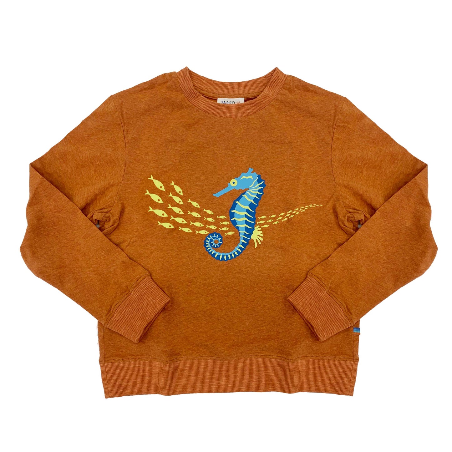 Boy's FW LS Knit Crew Neck with Seahorse Print Tee