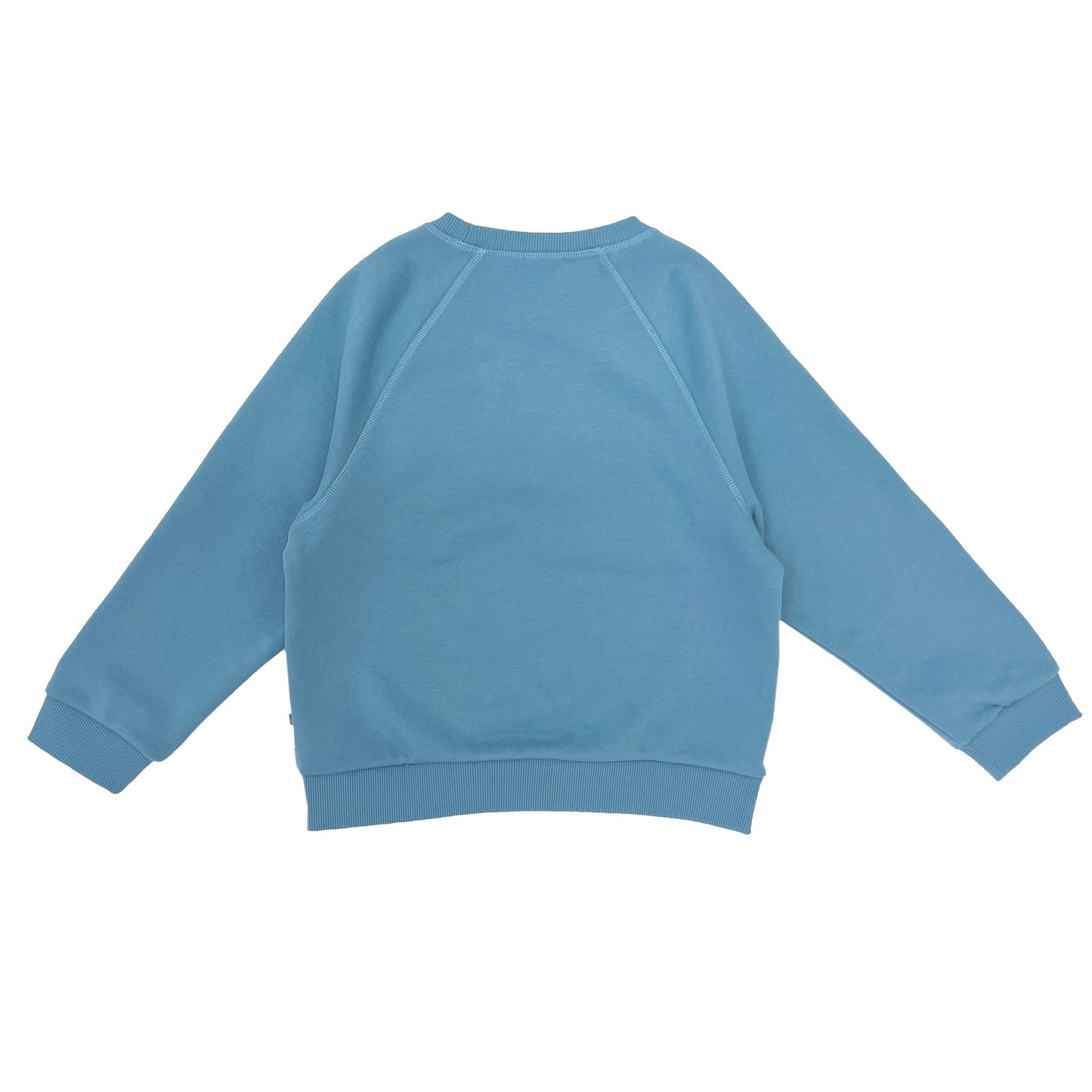 Boy's Elephant embroidery Raglan Sleeve pullover