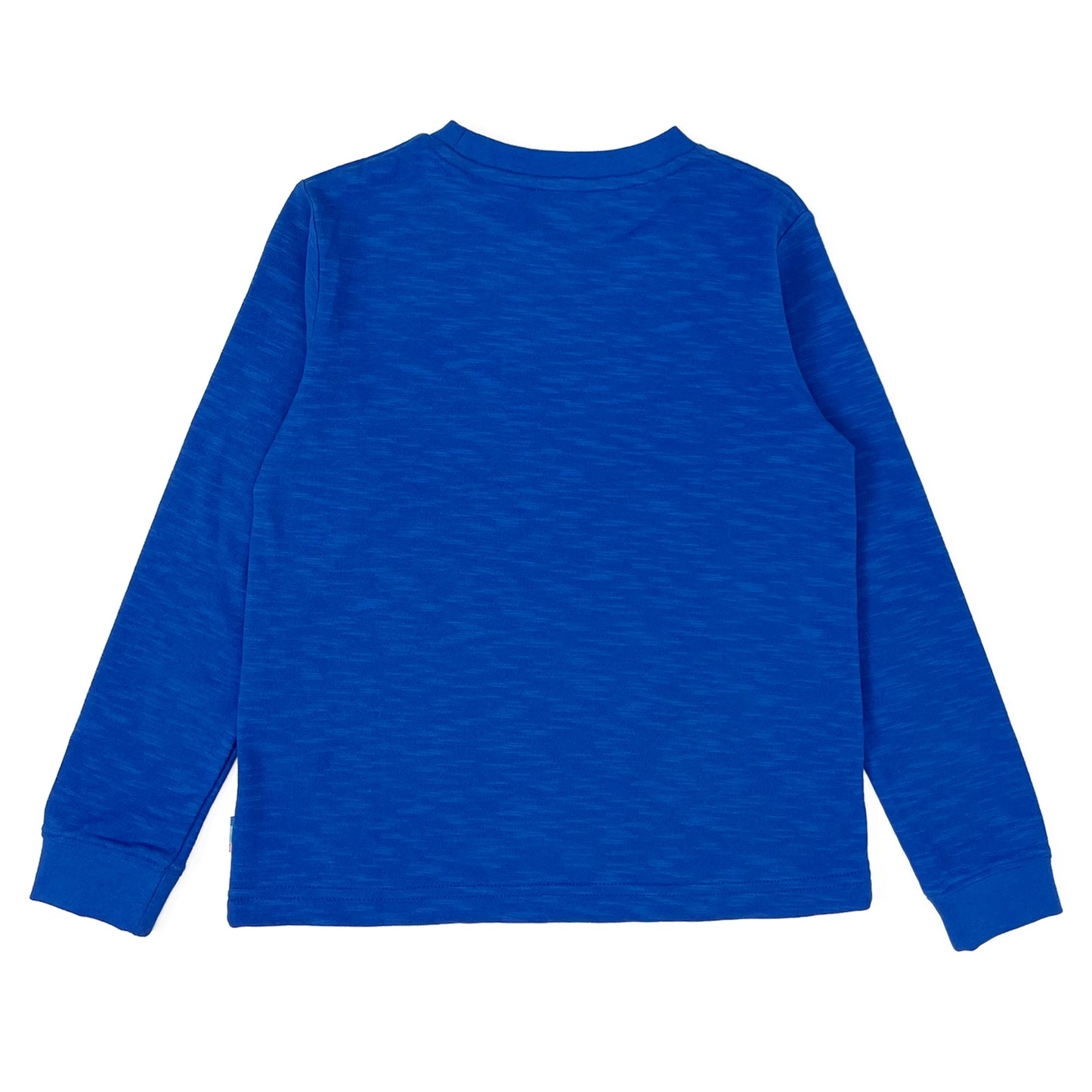 Boy's LS Knit Crew Neck Griffin Print Tee