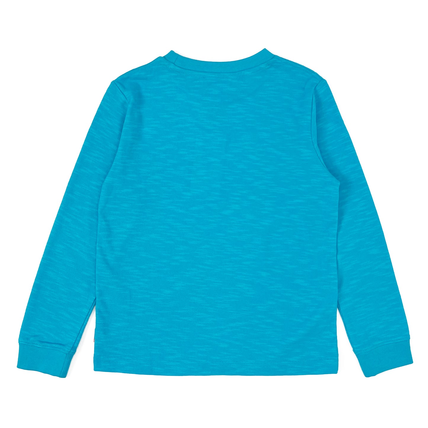 Boy's LS Knit Crew Neck Griffin Print Tee