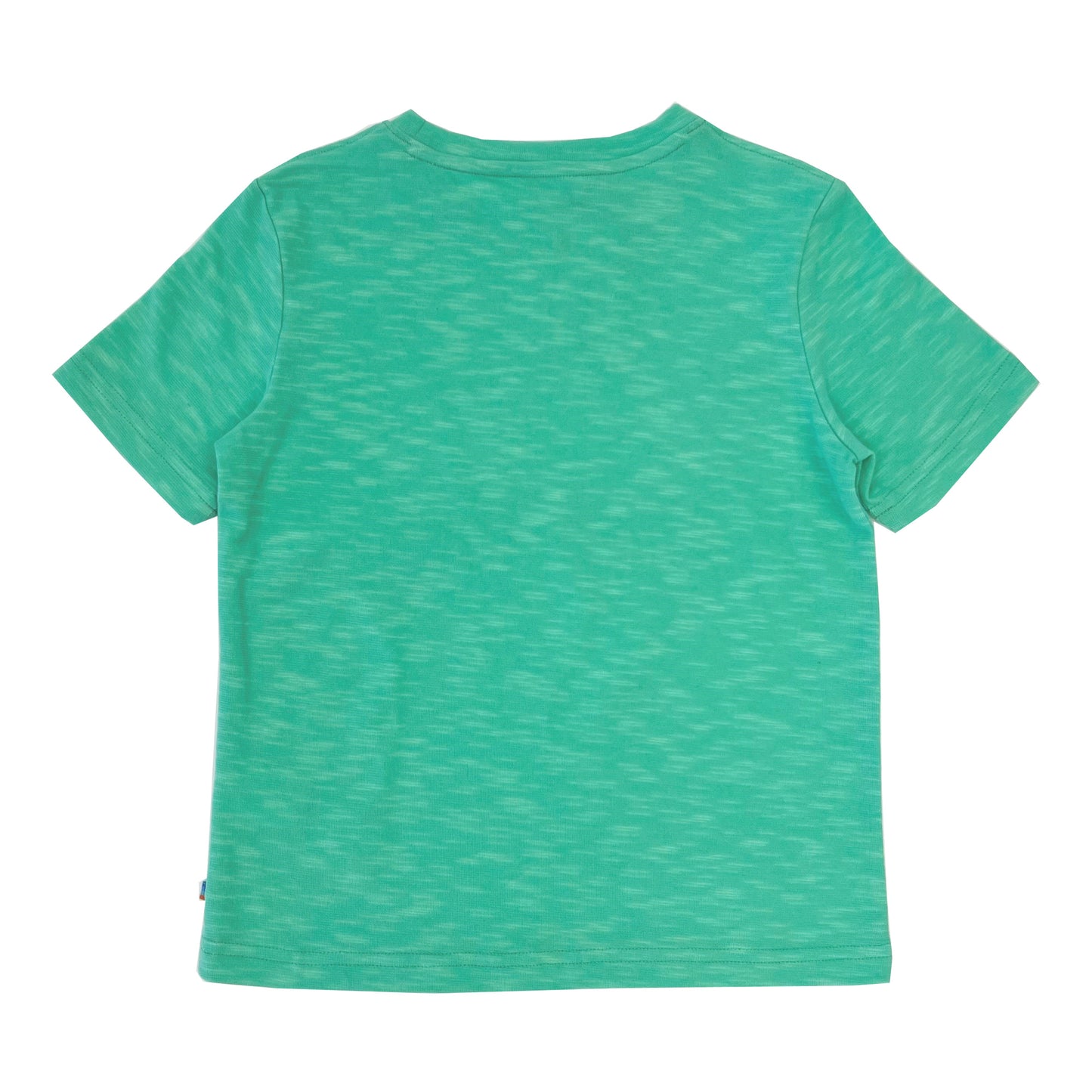 Boy's SS Crew Neck Swimming Dolphins Tee