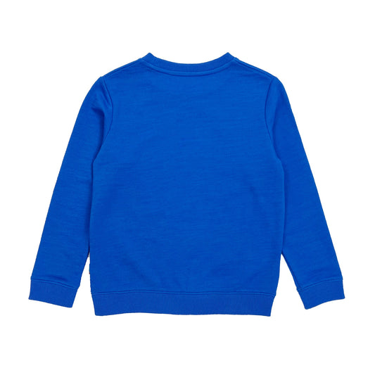Boy's LS Knit Crew Neck Yeti Pullover