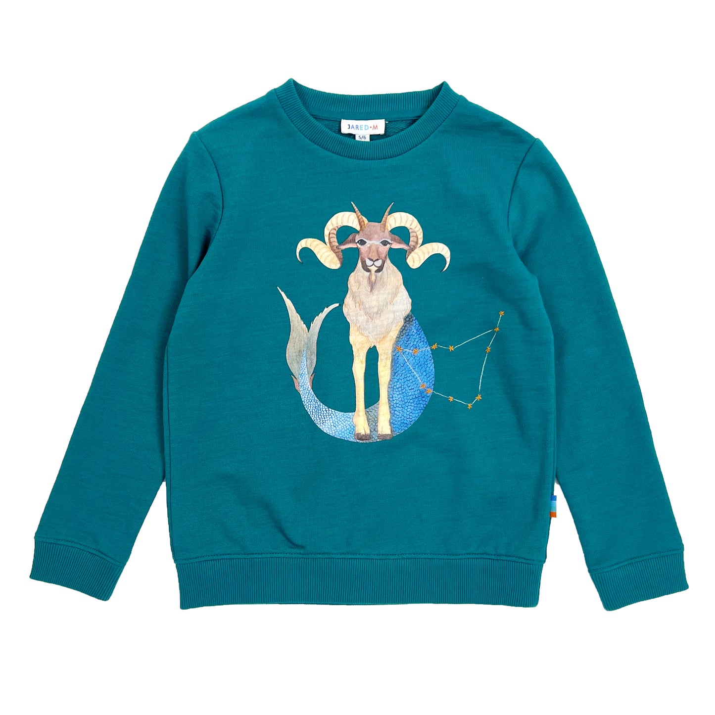 Boy's LS Knit Crew Neck Capricorn Pullover