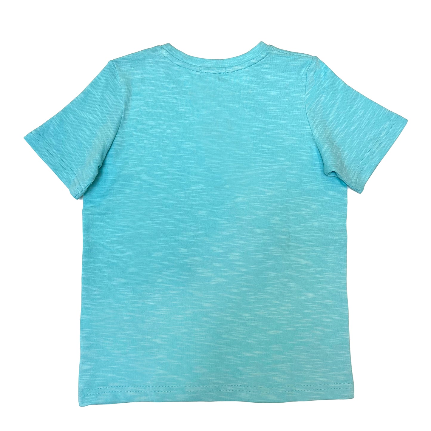 Boy's SS Crew Neck Tee with Guitar Print