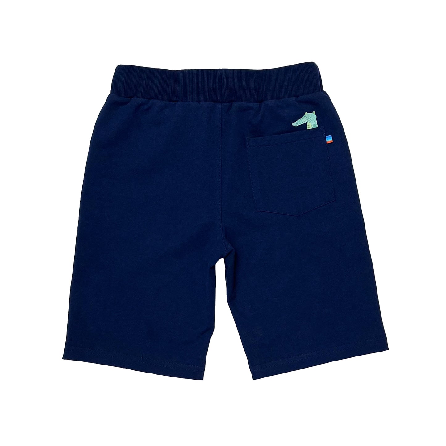 Boy's Knit Pull on shorts with Crocodile and Bear Print