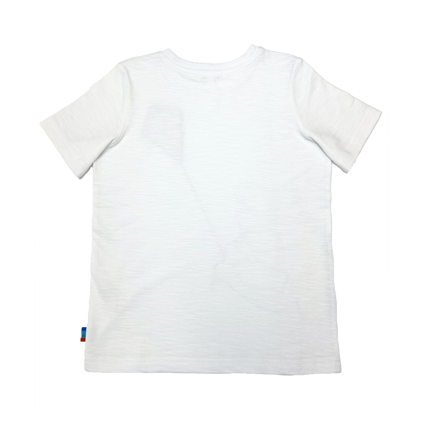 Boy's SS Crew Neck Tee with Dinosaur Print