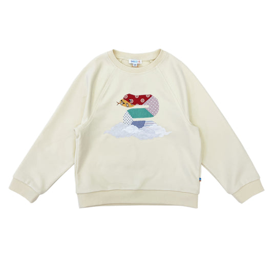 Boy's Snake Patchwork Raglan Sleeve pullover