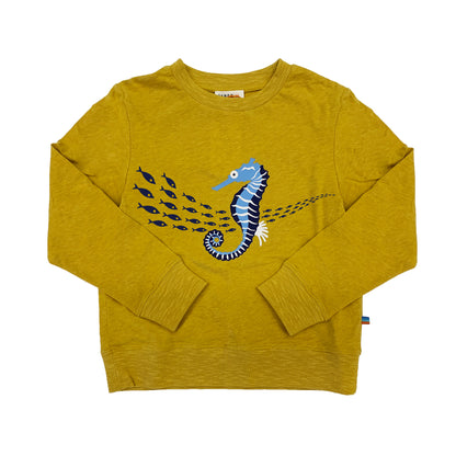 Boy's FW LS Knit Crew Neck with Seahorse  Print Tee