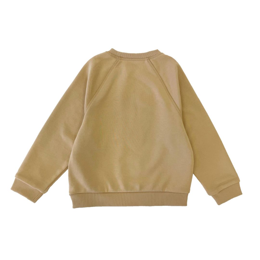 Boys LS Pullover Raglan Sleeve - Horse Patchwork