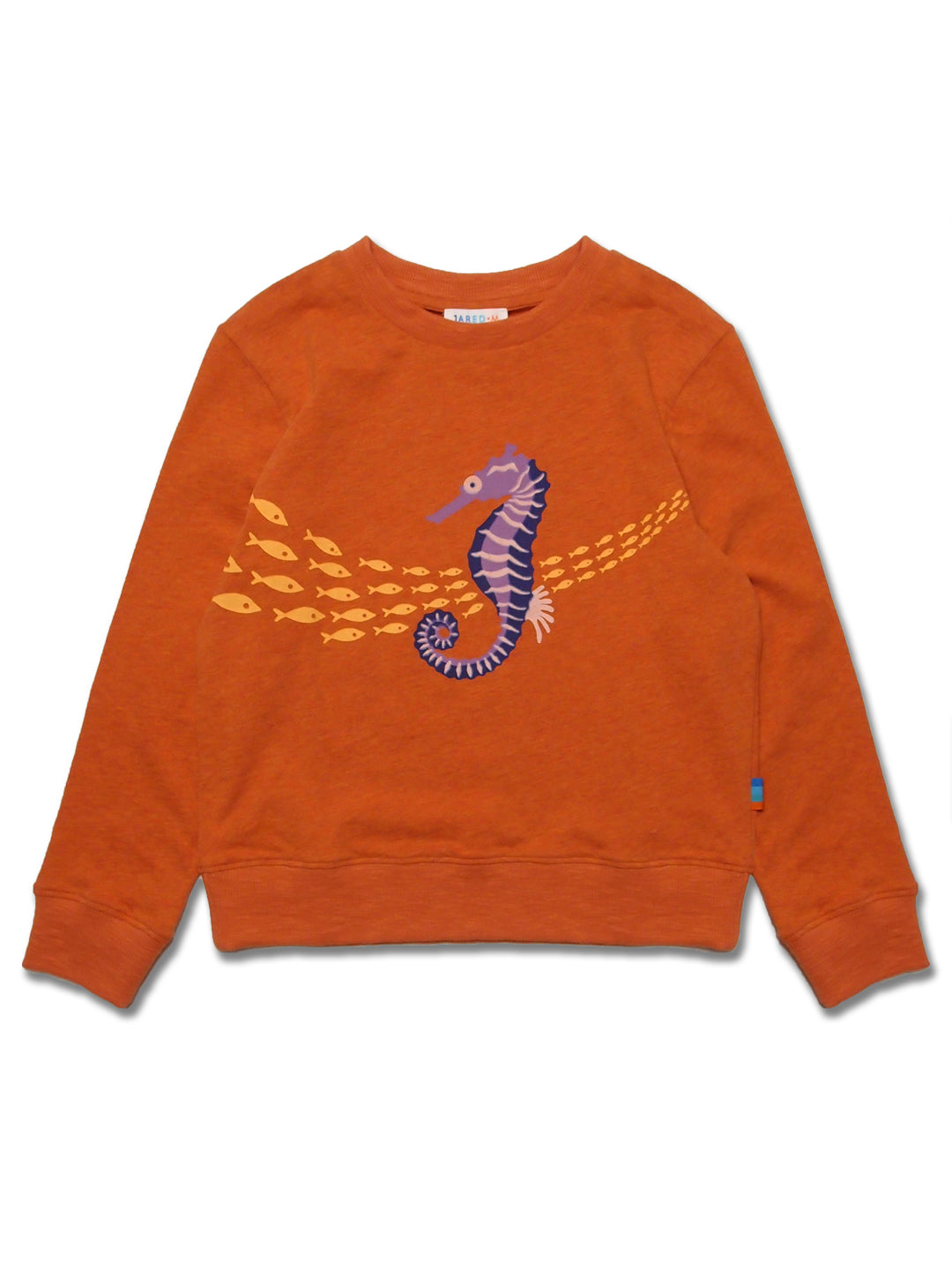 Girl LS Knit Crew Neck with Sea Horse Print