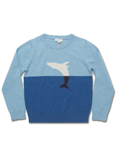 Boy's Merino Wool Jacquard Crew Sweater