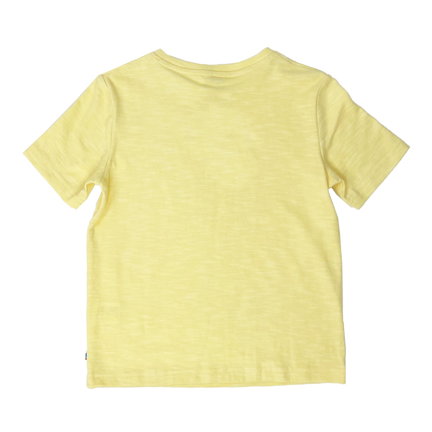 Boy's SS Crew Neck Grasshopper Tee