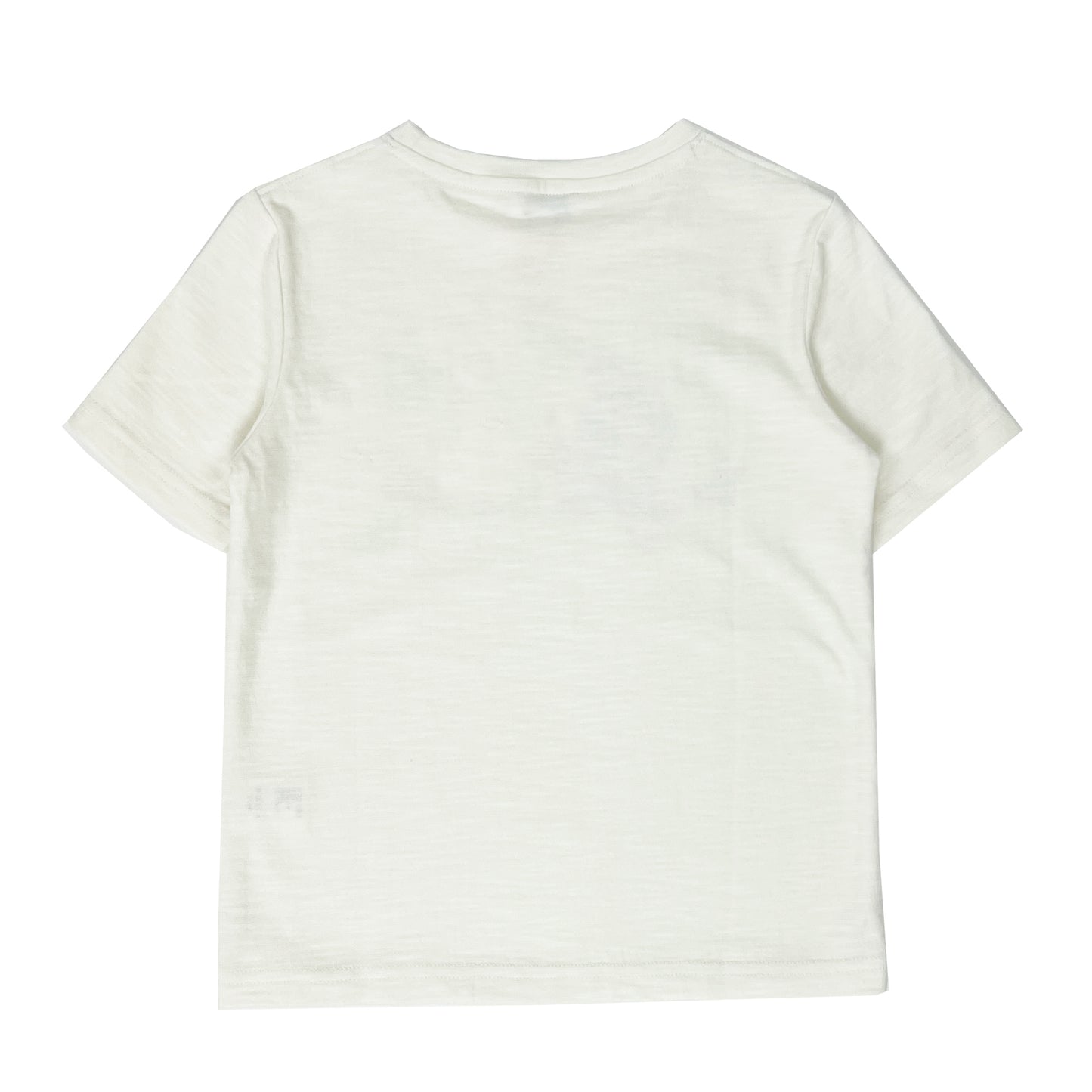 Boy's SS Crew Neck Snail Tee