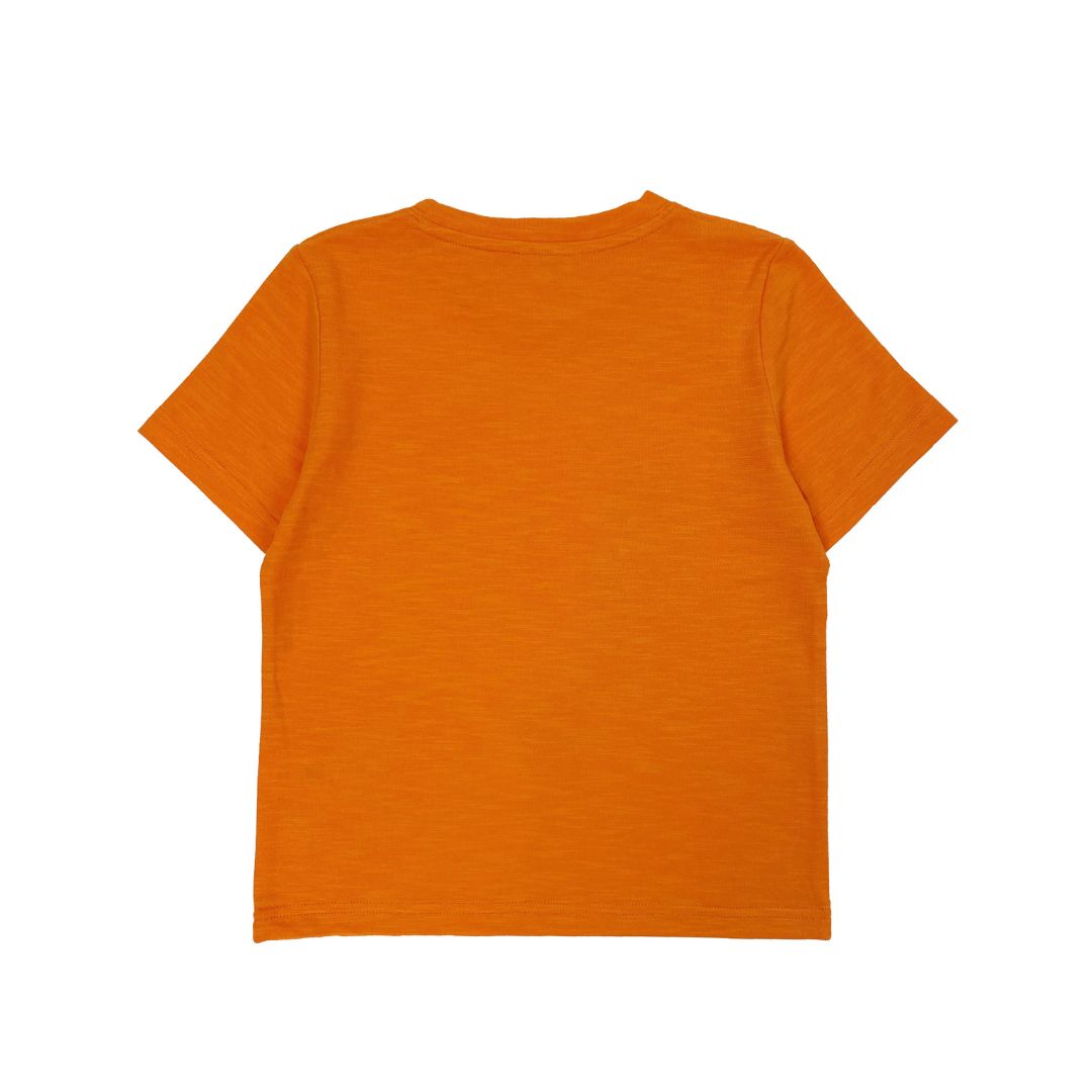 Boys SS Crew Neck Print Tee - Rollercoaster