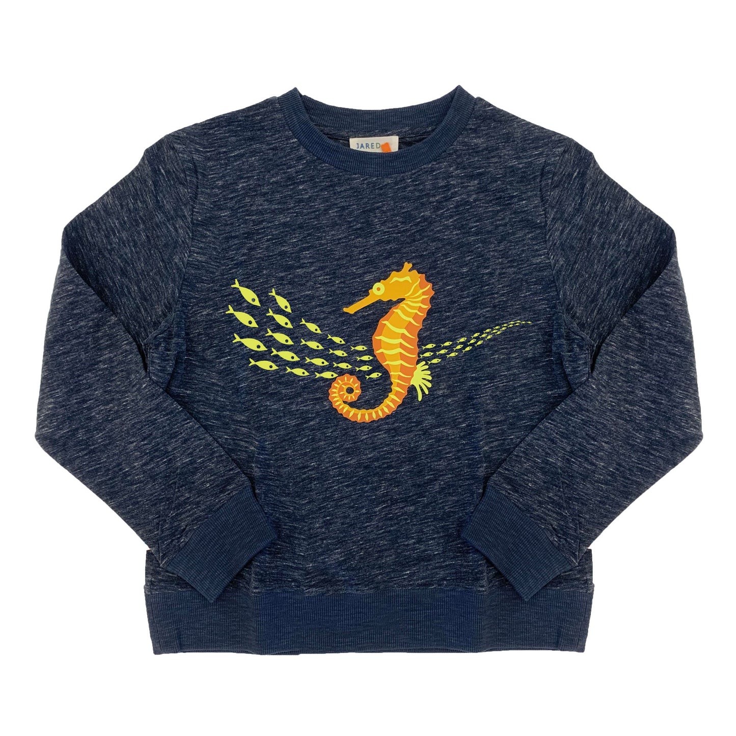 Boy's FW LS Knit Crew Neck with Seahorse  Print Tee