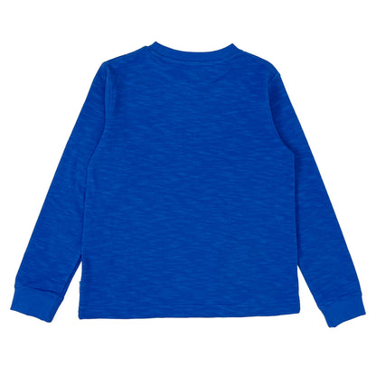 Boy's LS Knit Crew Neck Griffin Print Tee