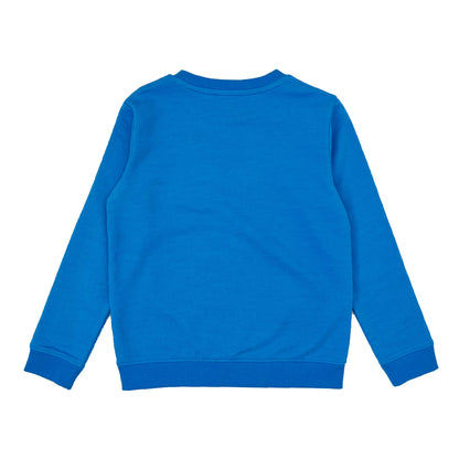 Boy's LS Knit Crew Neck with tape detail Pullover