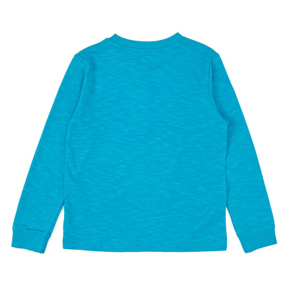 Boy's LS Knit Crew Neck Griffin Print Tee