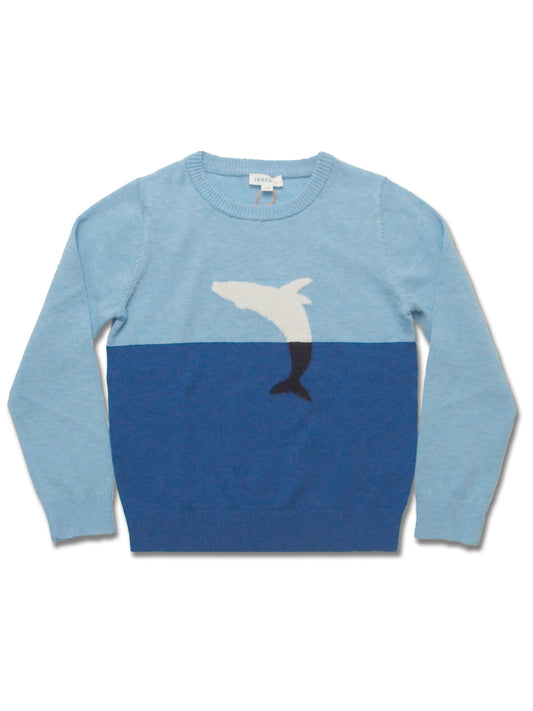 Boy's Merino Wool Jacquard Crew Sweater