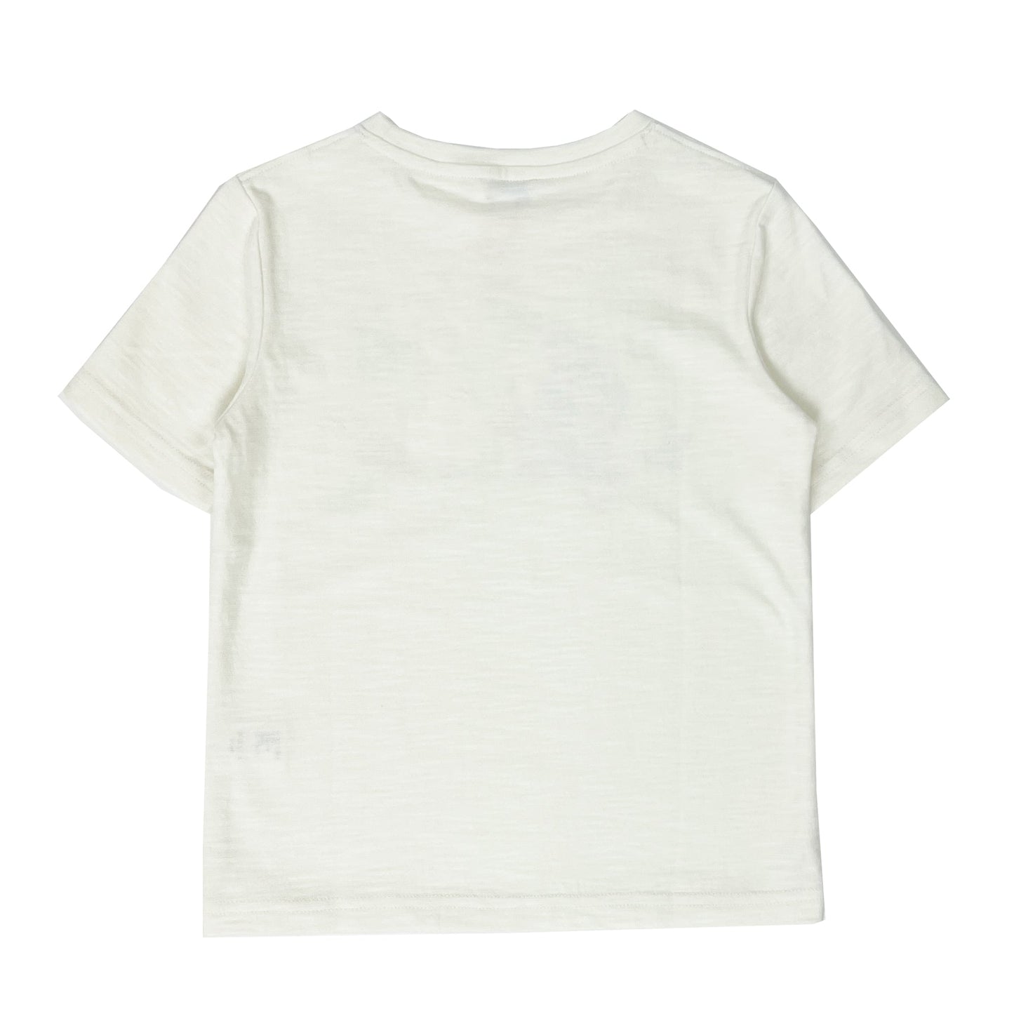 Boy's SS Crew Neck Snail Tee