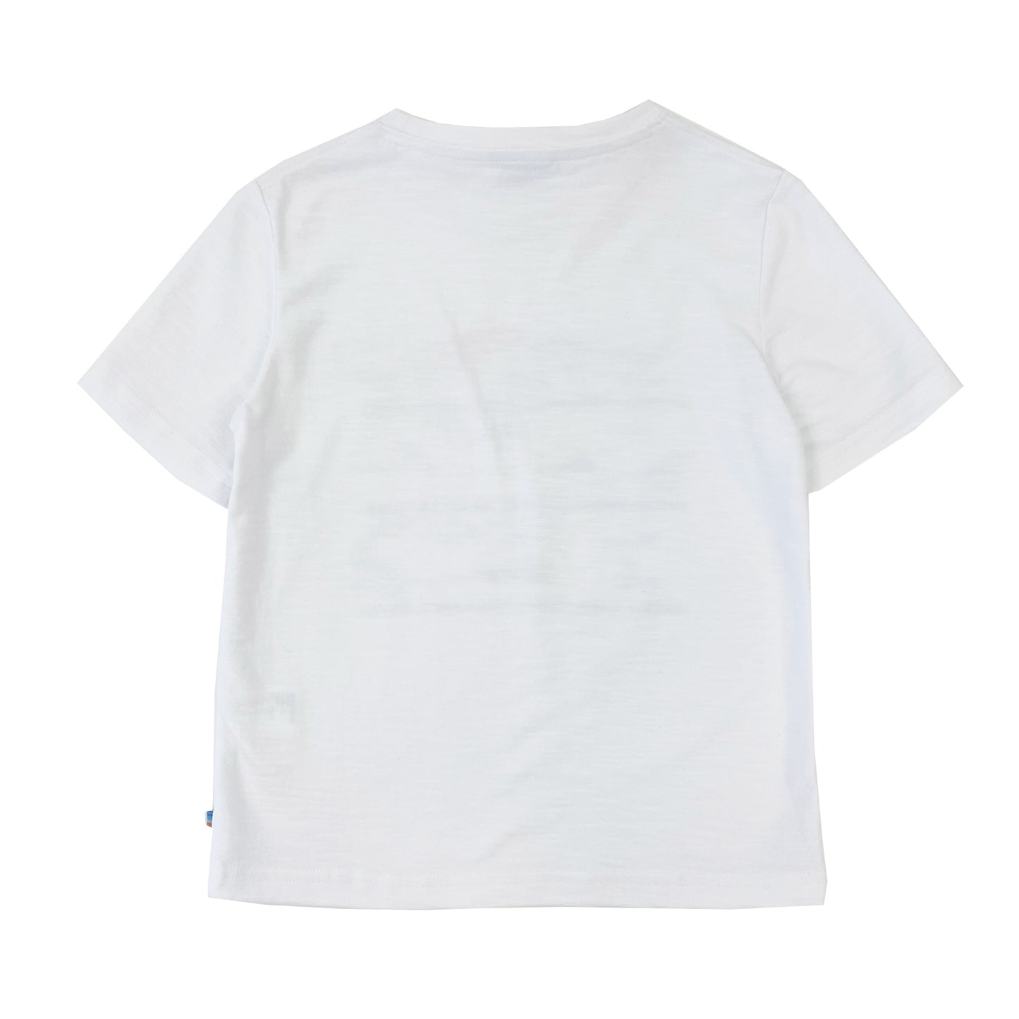 Girl's SS Crew Neck Swimming Dolphins Tee