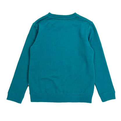 Boy's LS Knit Crew Neck Capricorn Pullover