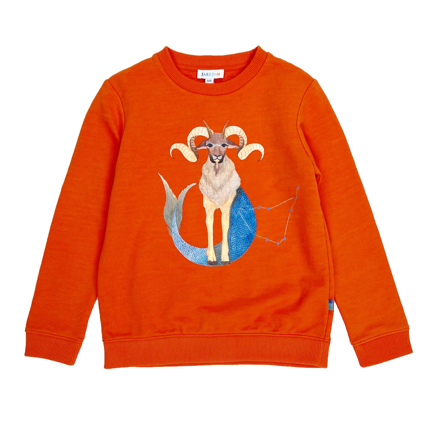 Boy's LS Knit Crew Neck Capricorn Pullover