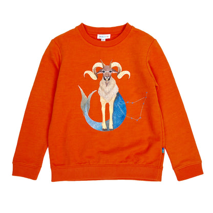 Boy's LS Knit Crew Neck Capricorn Pullover