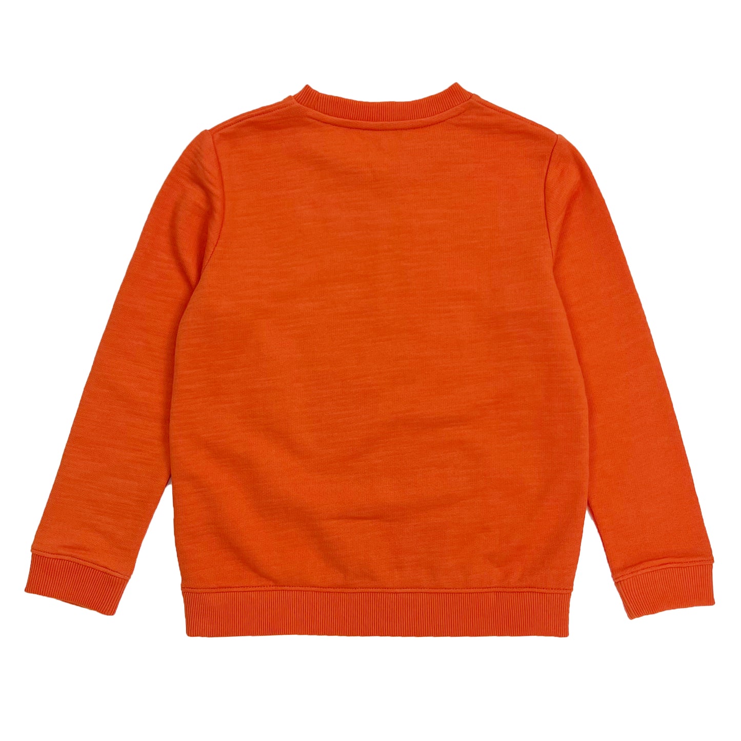 Boy's LS Knit Crew Neck Capricorn Pullover